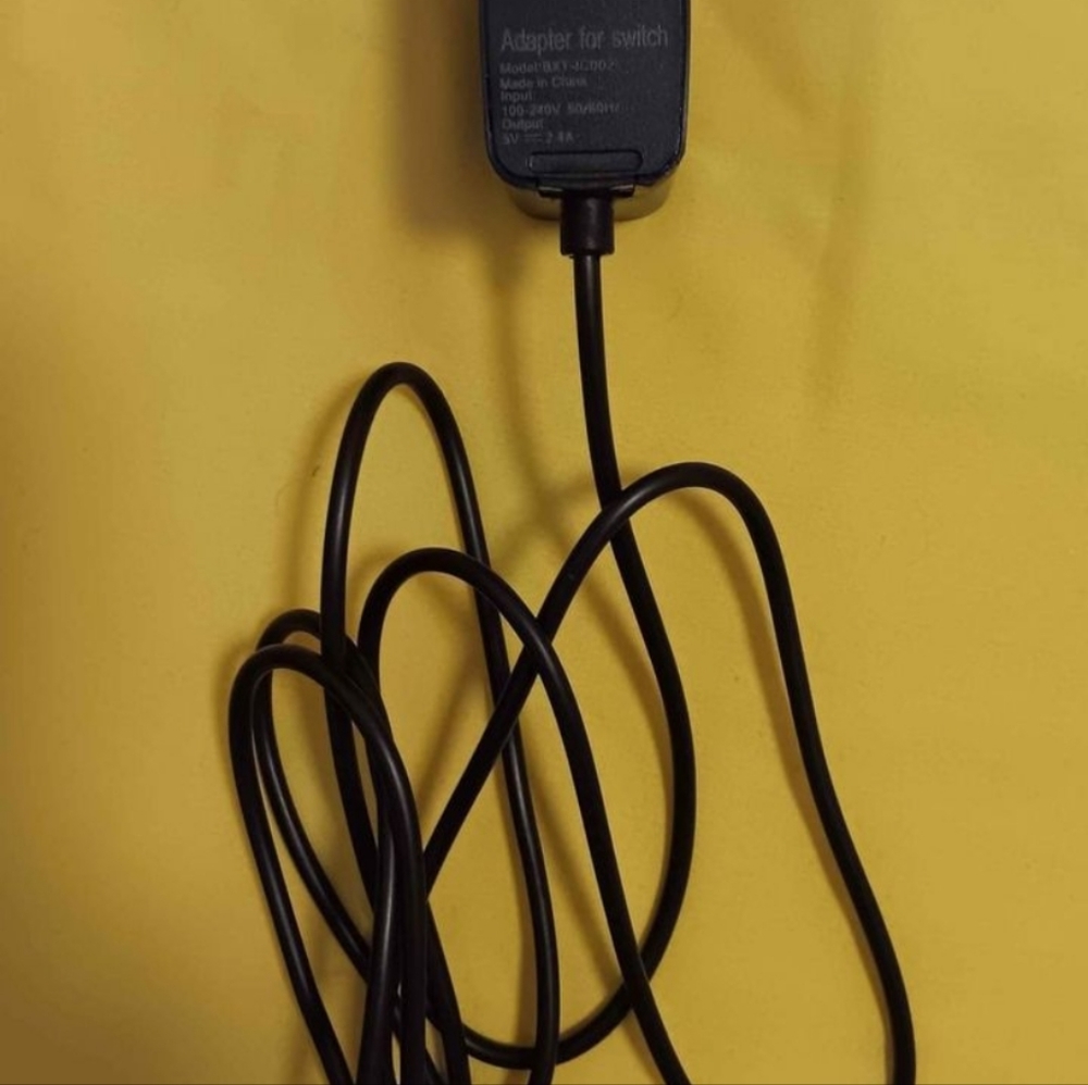 Nintendo Switch Charger